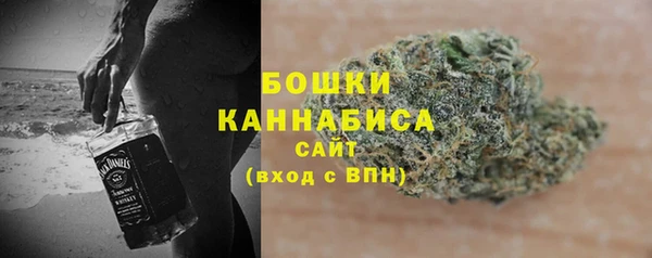 хмурый Карпинск