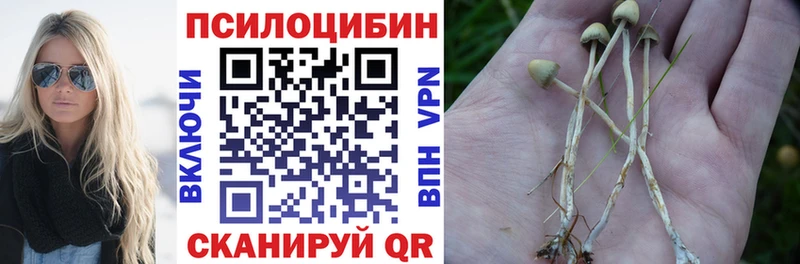 Псилоцибиновые грибы MAGIC MUSHROOMS  Купить  Георгиевск 